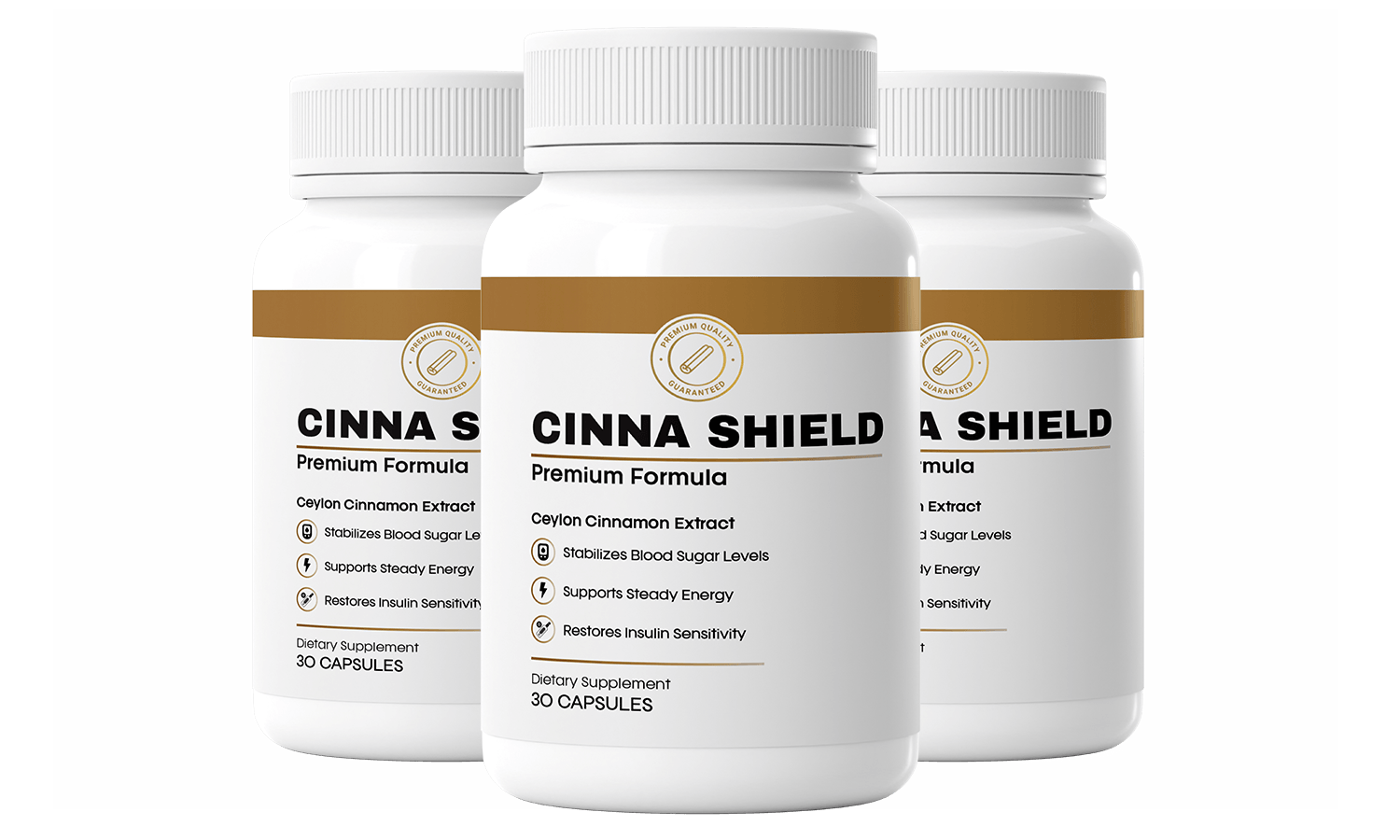 CinnaShield blood sugar support supplement — 3 bottle set